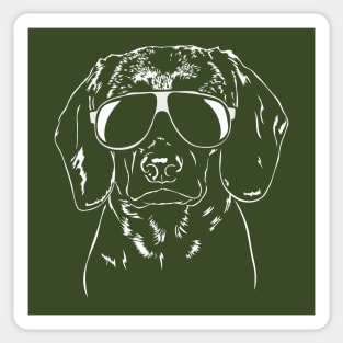 Funny Bavarian Mountain Dog Hound with sunglasses Sticker